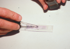 immersion oil being dropped onto cellophane tape that was placed on glass slide