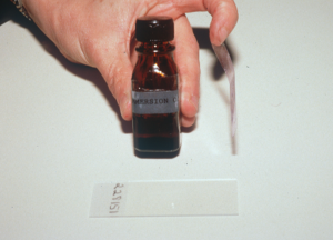 immersion oil, cellophane tape, and glass slide are laid out for testing