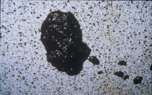 dark, watery stool on floor