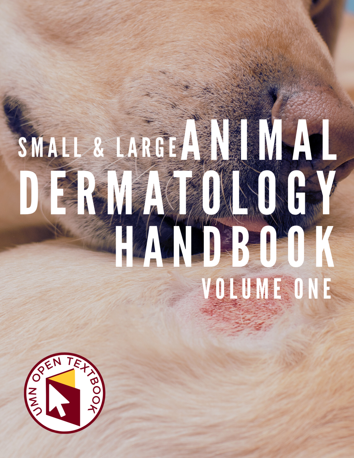 Cover image for Small and Large Animal Dermatology Handbook, Vol. 1
