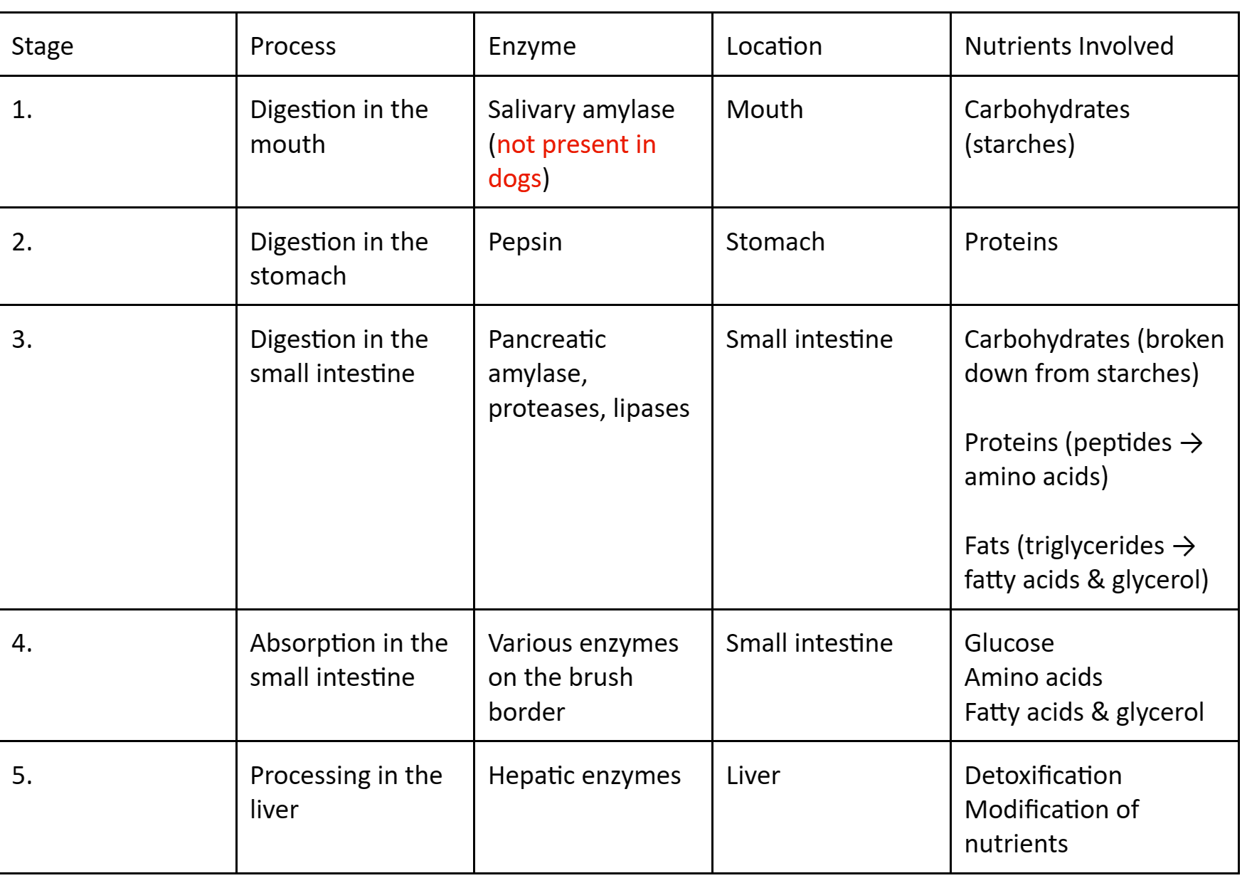 What Happens When Dogs Eat Raw Meat? Exploring GI Physiology and Raw