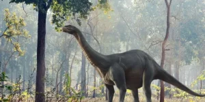 9 Beefy Facts About The Brontosaurus - The Fact Site