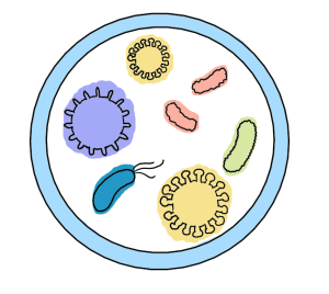 Drawing depicting bacteria in petri dish.