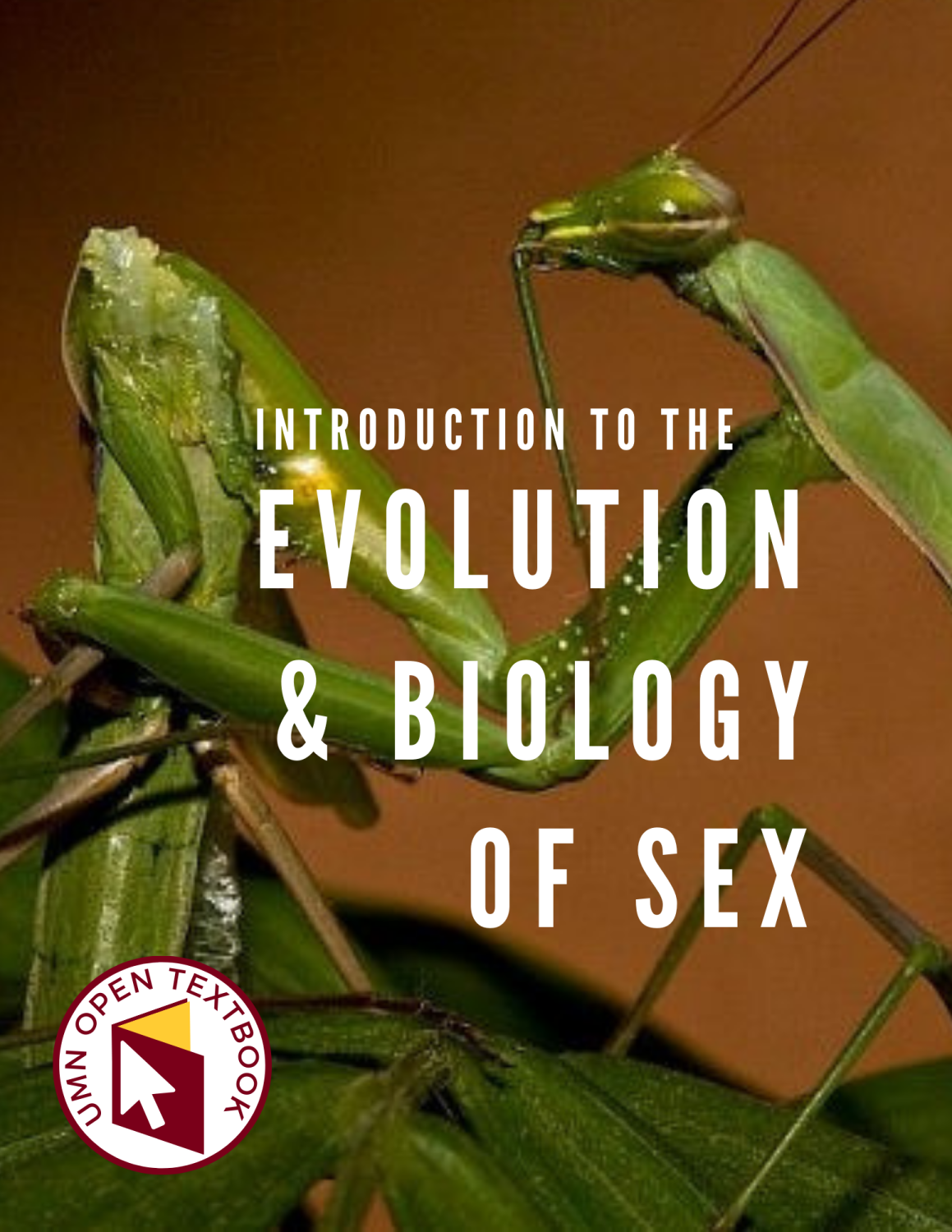Cover image for Introduction to the Evolution & Biology of Sex
