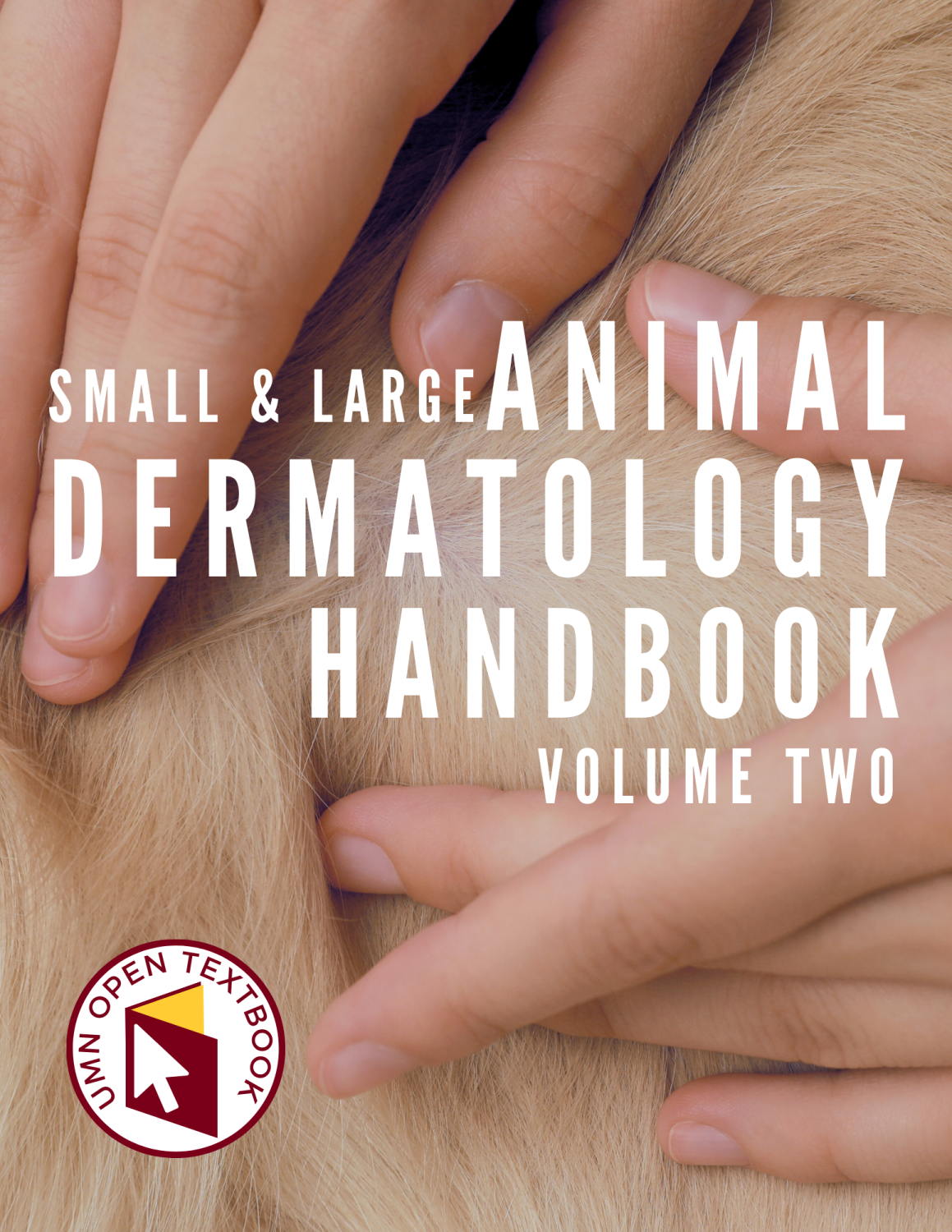 Cover image for Small and Large Animal Dermatology Handbook, Vol. 2