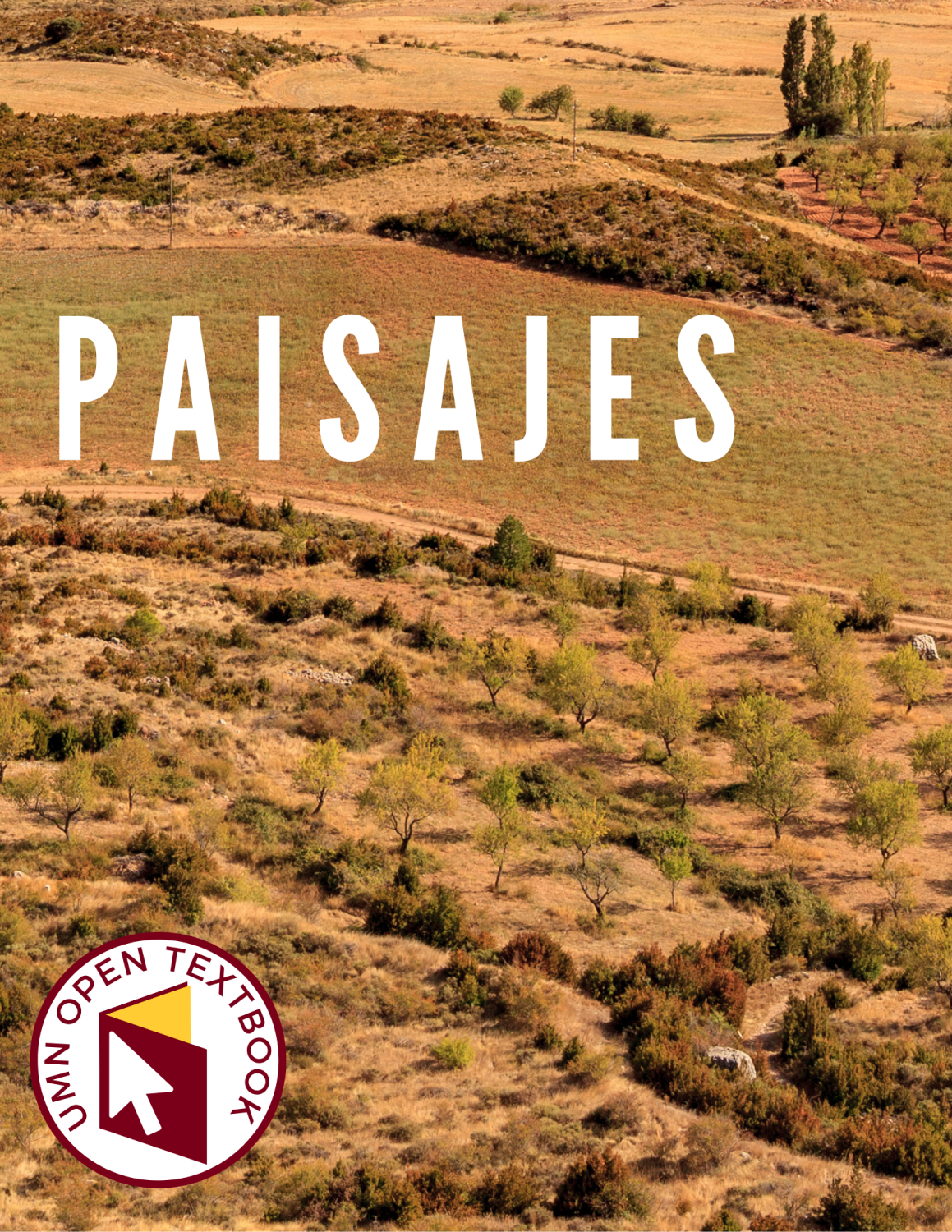 Cover image for Paisajes