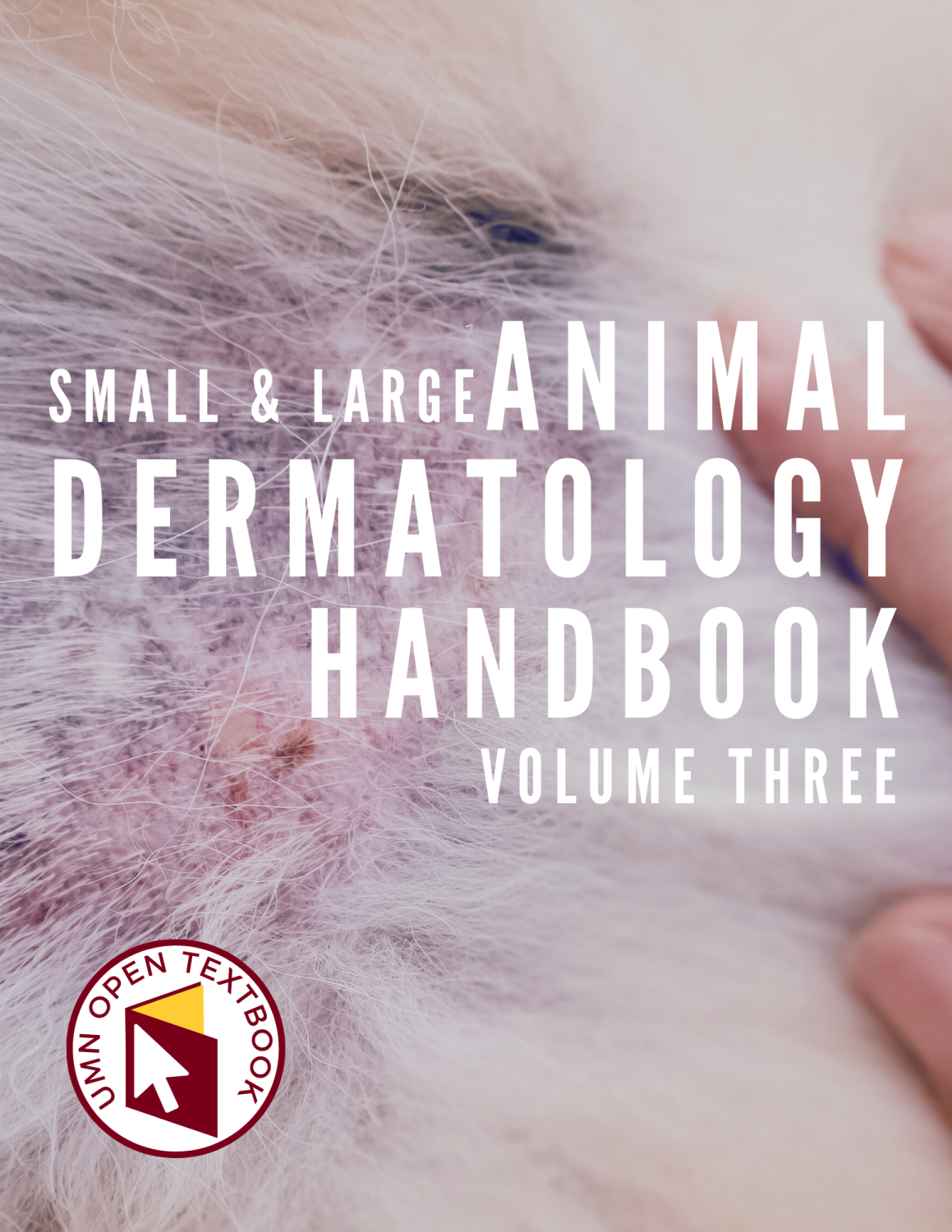 Cover image for Small and Large Animal Dermatology Handbook, Vol. 3