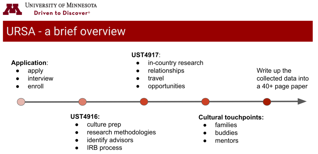 Infographic showing steps in the URSA process.