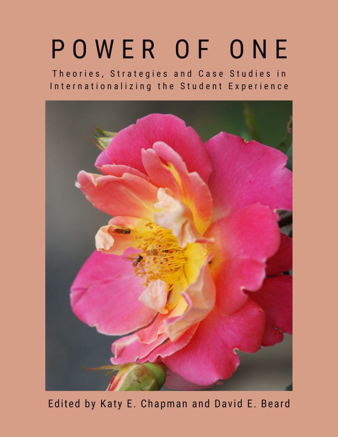 Cover image for Power of One